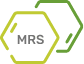 MERS Logo